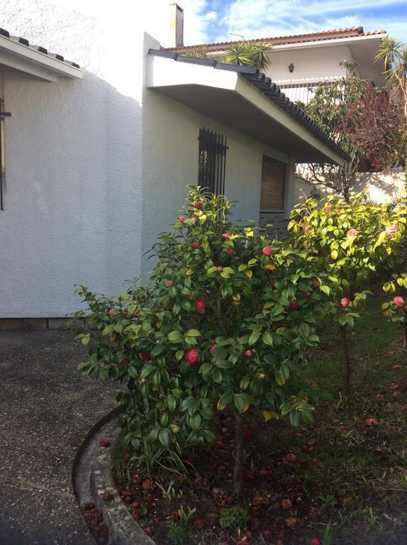 Villa Casa Dos Oliva à Alcobaça Extérieur photo